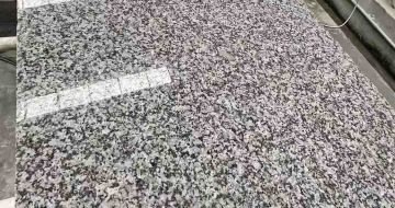 西宁 芙蓉白光面