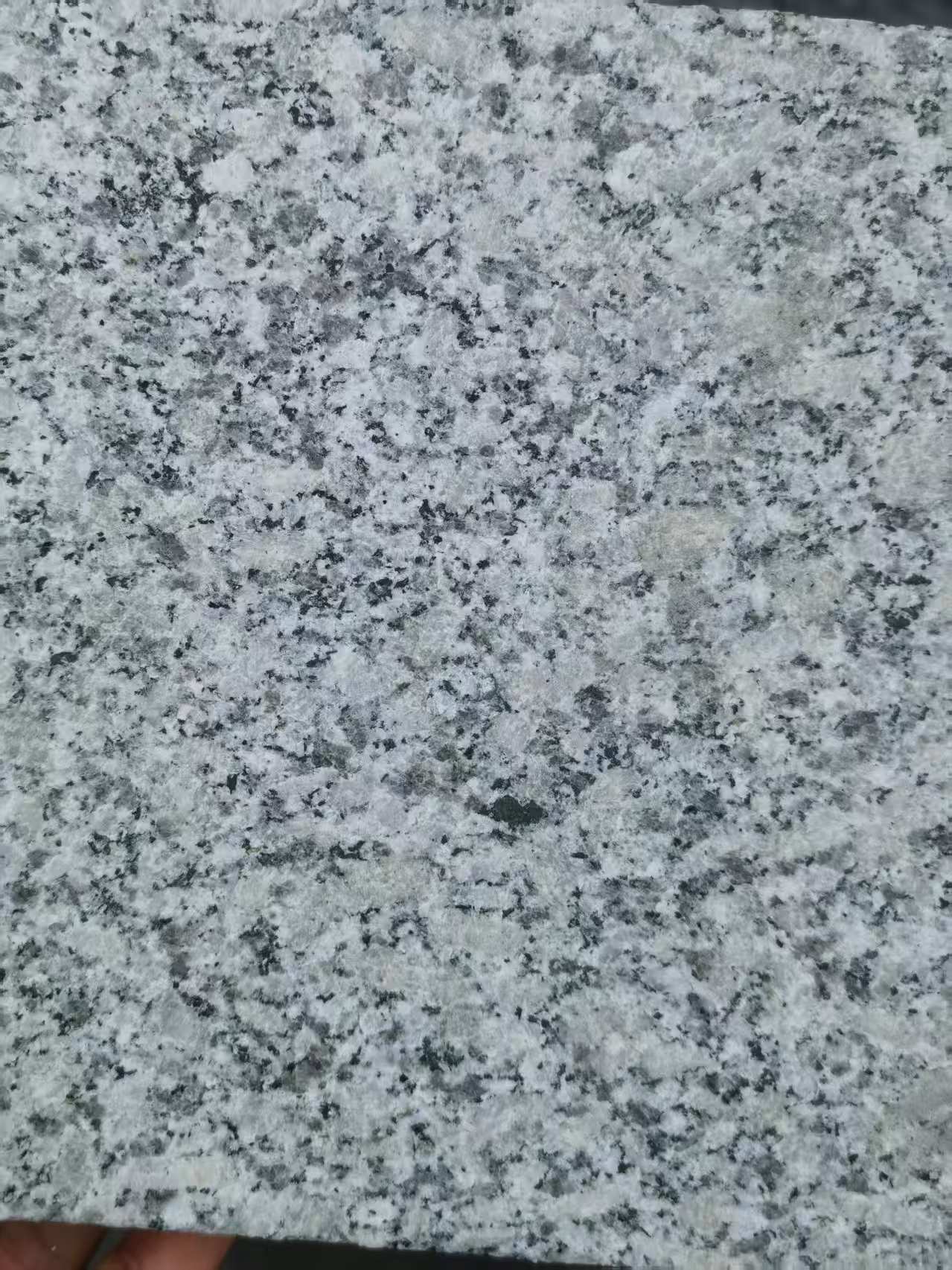 西宁 芙蓉白火烧面